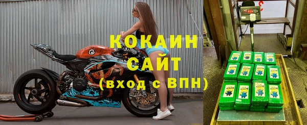 стафф Богородск