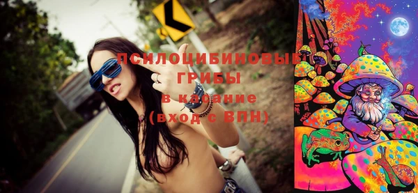 шишки Богородицк