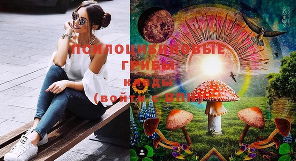 шишки Богородицк