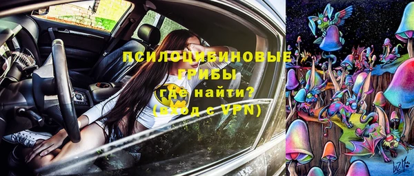 шишки Богородицк