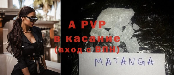 шишки Богородицк